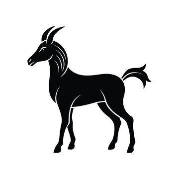 tumbi silhouette art illustration on white background