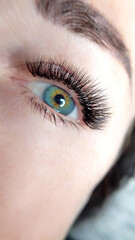 Close up of eye with eyelash extensions ,beauty salon treatment