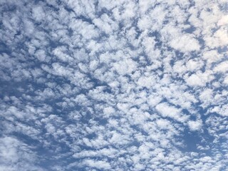 Cumulus clouds in the sky