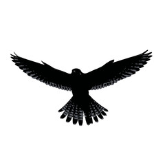 Solid black silhouette of a kestrel hovering, Vector Graphic