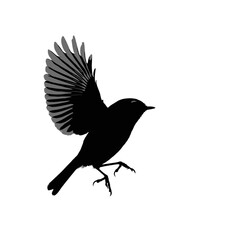 Obraz premium Solid black silhouette of a kinglet flitting, Vector Graphic