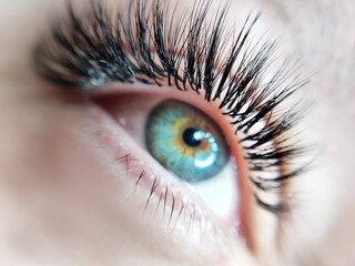 Close up of eye with eyelash extensions ,beauty salon treatment