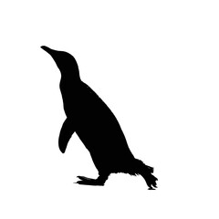 Fototapeta premium Solid black silhouette of a penguin sliding, Vector Graphic