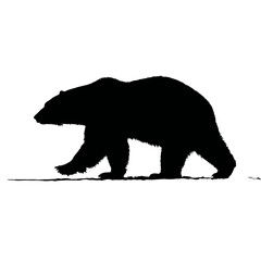 Fototapeta premium Solid black silhouette of a polar bear prowling, Vector Graphic
