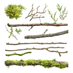 Large beautiful Set of moss covered sticks and branches isolated on white background transparent, branches , 3D isolated transparent background