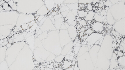 Obraz premium Elegant Marble Texture: Exquisite close-up of a polished marble slab, revealing intricate patterns of natural stone, embodying sophistication and luxury. 