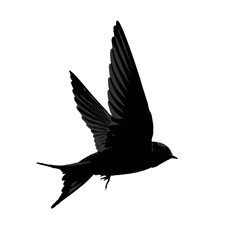 Solid black silhouette of a swift speeding, Vector Graphic