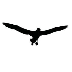 Solid black silhouette of an albatross gliding, Vector Graphic
