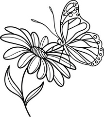 Butterfly On Flower Line Art Illustration Black And White Floral Design