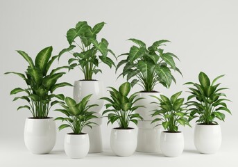 Obraz premium Elegant Green Plants in White Pots Home Decor Modern Interior Design Room Life Still Potted Office