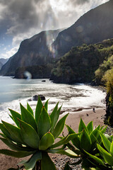 dramatic coastline with rocks of Madeira, Portugal