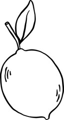 Illustration of a Lemon with Leaf  Doodle Outline