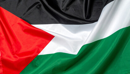 Obraz premium Palestine flag background