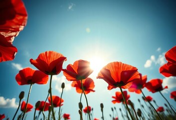 Obraz premium Low angle, vibrant red poppies, sunburst, vintage filter, glitter overlay, dreamy sky, tone, photography