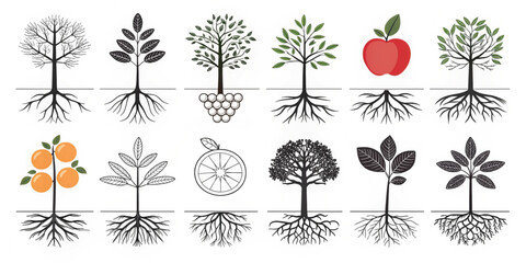 Trees Line Icon Set – Thin Linear Vector Illustrations of Roots, Branches, Leaves, Fruits, and Silhouettes 