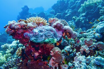 Tropical coral reef with hard coral diversity polluted with plastic rubbish.