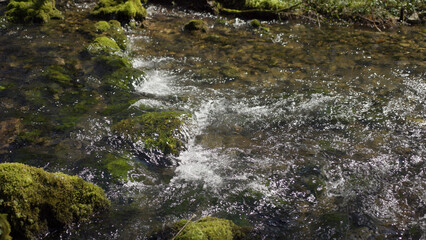 A beautiful mountain river with moss covered stones.