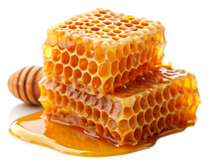 Honeycomb with honey isolated on white background PNG