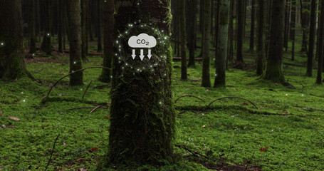 Concept carbon dioxide icon symbol on tree trunk with moss.