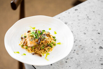 Gourmet dish with cooked meat, microgreens, grains, peas, mushrooms, and green sauce, elegantly presented on a white plate against a textured countertop background.
