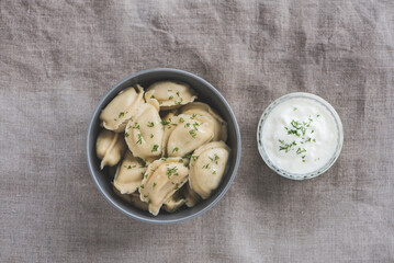 National Ukrainian cuisine with dumplings with filling and sour cream sauce. Traditional Ukrainian dish. Flat design.