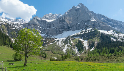 Paisaje soleado de monta&ntilde;a con nieve y &aacute;rboles
