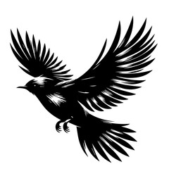 eagle vector illustration