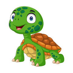 Cartoon little turtle on white background