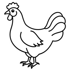 Chicken vector line art on white baclground