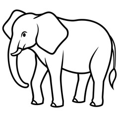 elephant vector illustration