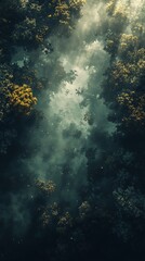 Obraz premium Overhead aerial view forest canopy mist sunlight nature scene