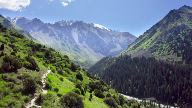 Footage captures a picturesque mountain landscape with alpine trees and snow-capped peaks in the background, filmed in Ala Archa National Park.