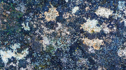 Natural Rock Textured Abstract Background Design