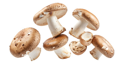 Fresh Champignon Mushrooms Flying on White Background