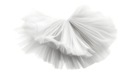 Elegant Ballet Tutu with Layers of Tulle: Delicate Light Capturing Dance Artistry