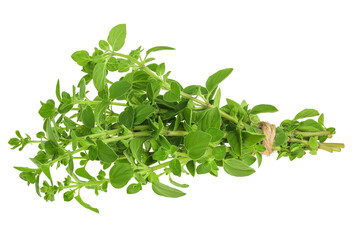Oregano or marjoram leaves isolated on white background