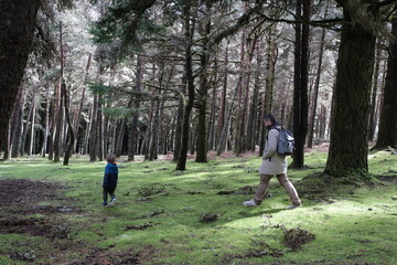 Obraz premium Father and son hiking in lush green forest