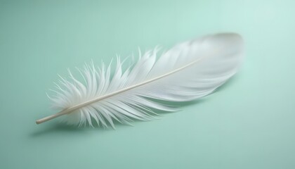 Obraz premium Delicate White Feather Gently Resting on a Soft Blue Background