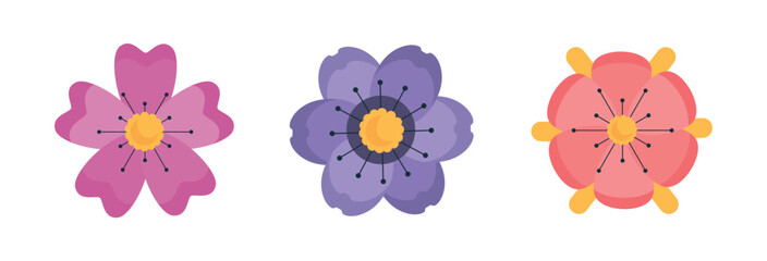Set Flower Beauty
