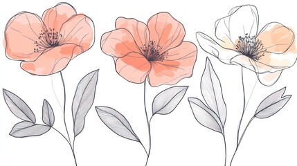 Elegant Watercolor Floral Artwork: Peach and White Blooms with Delicate Line Art