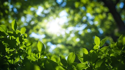 Vibrant green leaves illuminated by sunlight, creating a bokeh effect in the background.  A lush, natural scene perfect for spring or summer themes. : Generative AI