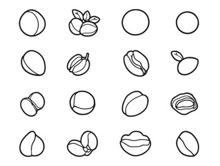 minimal dried apricot line drawing perfect for label design