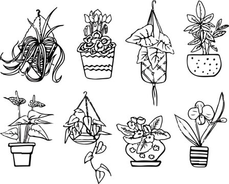 Flowerpots Stock outline droing eage