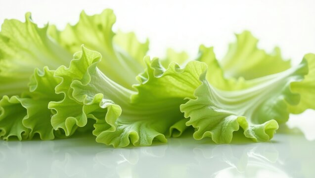Hojas de lechuga verde crujientes en capas sobre fondo blanco