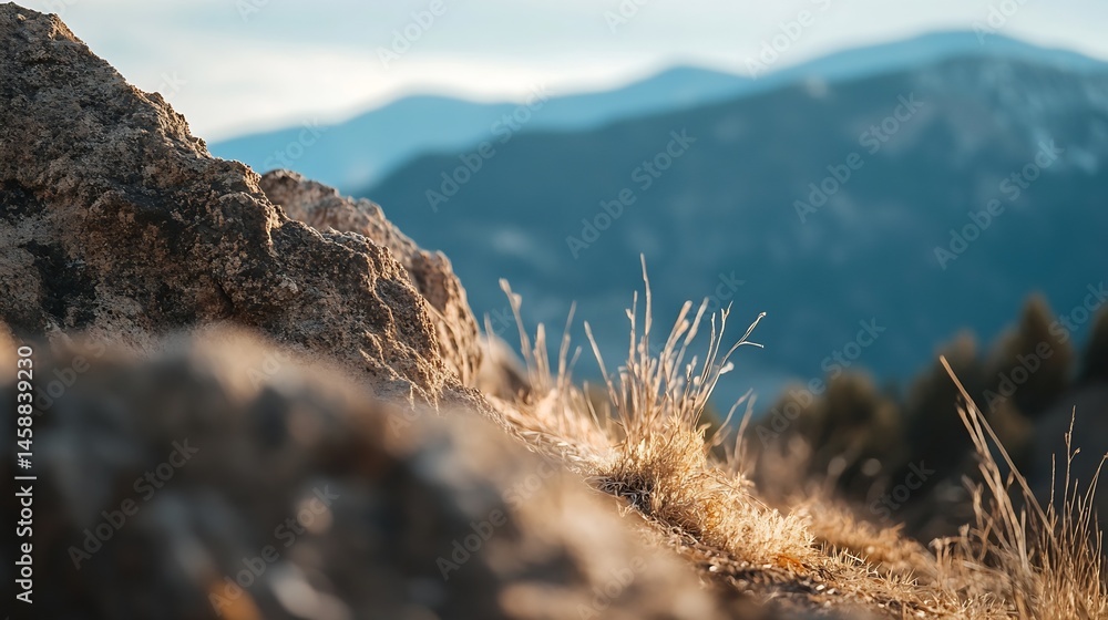 Aufkleber close-up view of sunlit, dry grass sprouting from a rugged rock face, with a blurred mountain range 