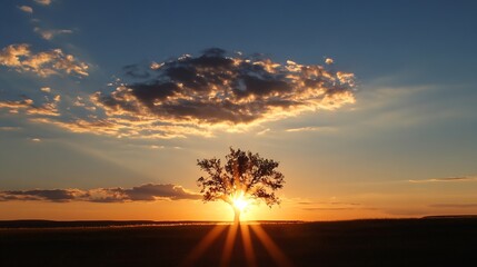 Silhouette of a lone tree standing in a field at sunset, with sun rays bursting through the clouds and illuminating the landscape. : Generative AI