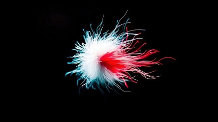 Vibrant colored feather cluster against a black backdrop.