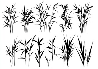 Obraz premium Silhouettes of various bamboo plants