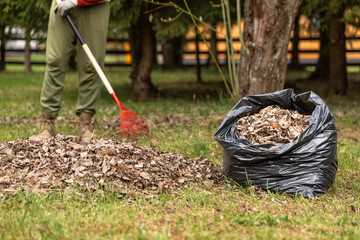 Raking fallen leaves. The concept of caring for the garden, the beauty of the garden. Allotment season. Support for work in the garden. Removing grass from the soil.