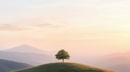 Solitary Tree on Grassy Hilltop at Sunset